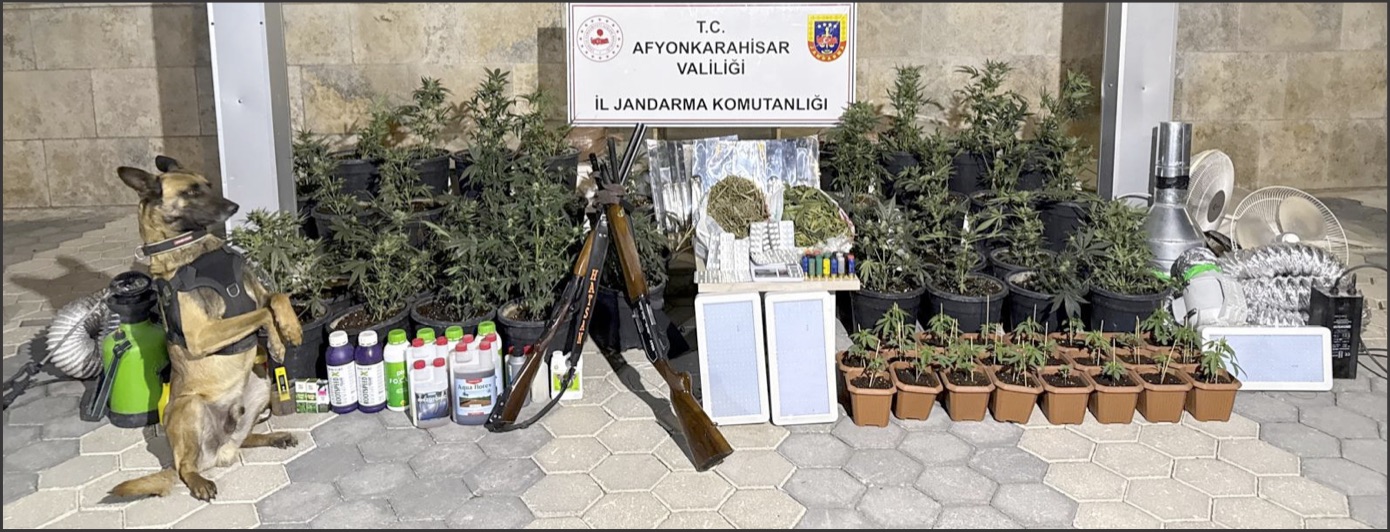 Emirdağ’da yasadışı kenevir eken 2 kişi yakalandı