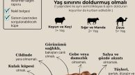 Kurbanlık alırken bunlara dikkat!
