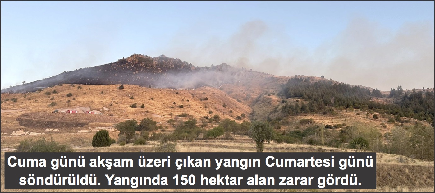 Yangın, 150 hektarlık alana zarar verdi