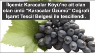 Karacalar Üzümü’ne coğrafi işaret tescili