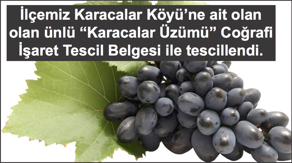 Karacalar Üzümü’ne coğrafi işaret tescili