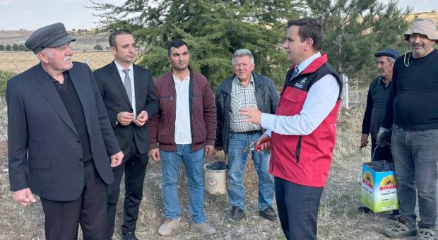 Kaymakam Topaca, Karacalar Köyü’ndeki üzüm bahçesine ziyaret